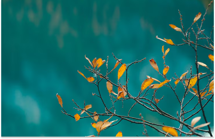 Glossy Admin Dashboard