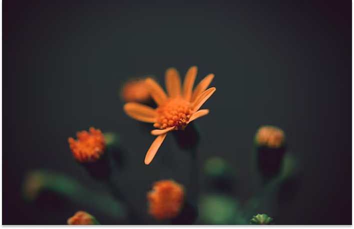 Glossy Admin Dashboard