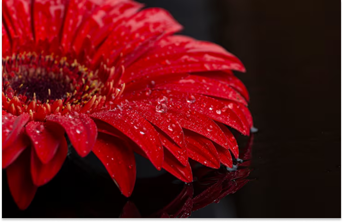 Glossy UI Kit System